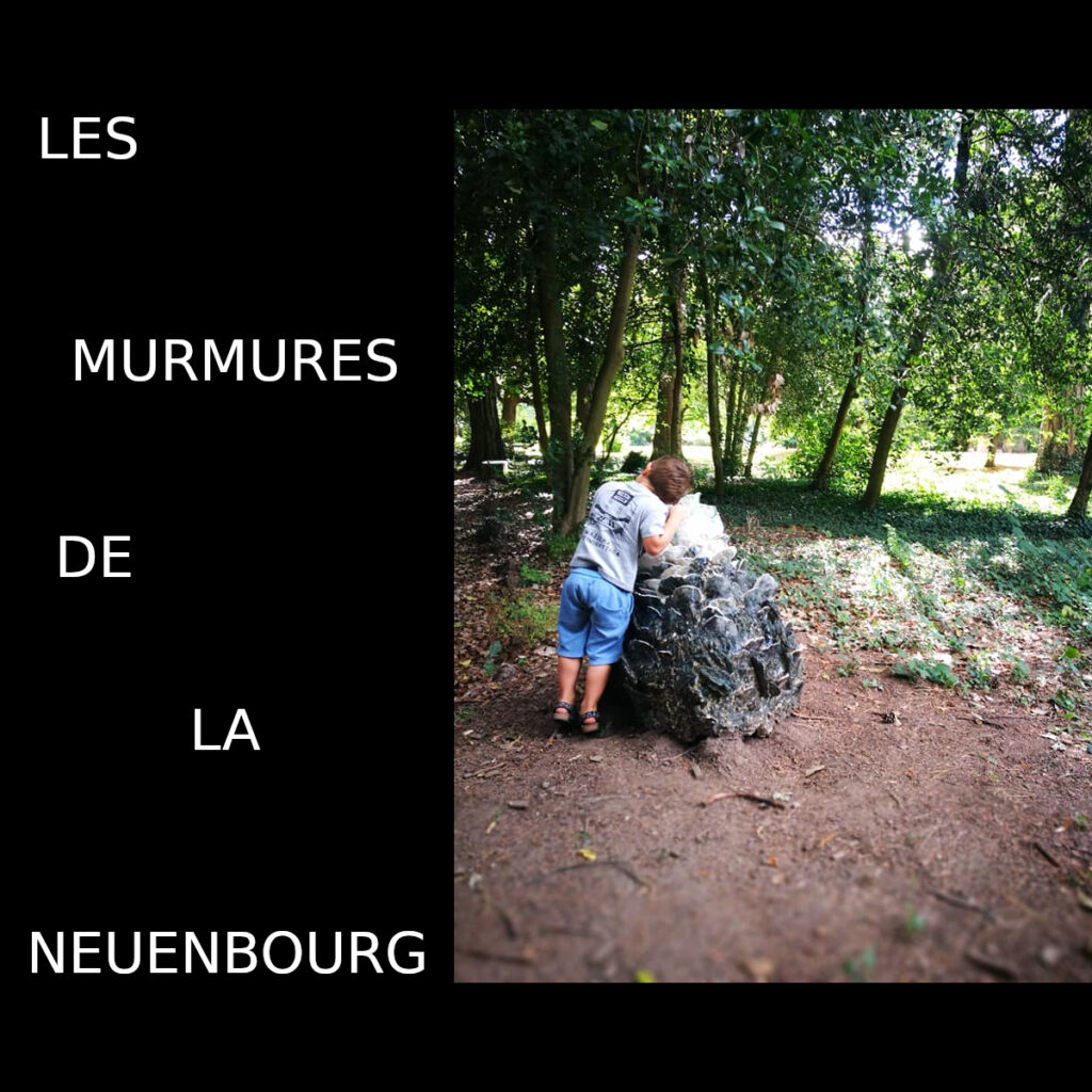 LES MURMURES DE LA NEUENBOURG_Installation surround @ Château de la Neuenbourg