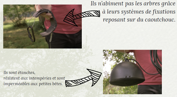 Immersif26_20 Arbres 2